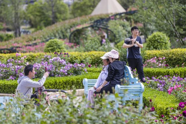 游客在奇幻谷玫瑰园拍照打卡 德清县文化和广电旅游体育局供图