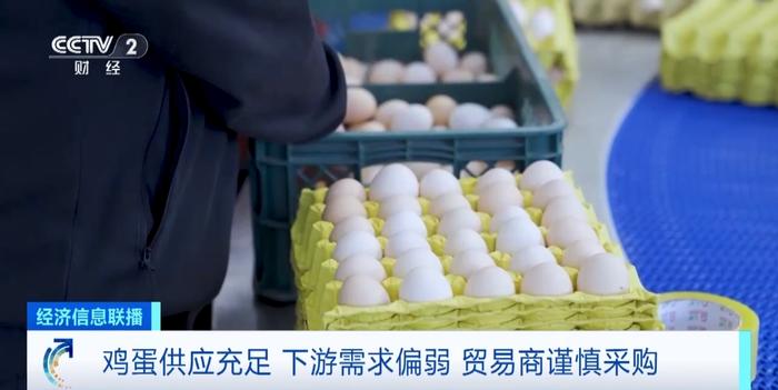 蛋价跌进“三元区”！蛋鸡养殖跌破成本线，未来价格怎么走