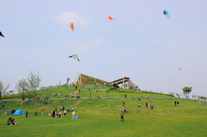 图源：合肥文化旅游发布