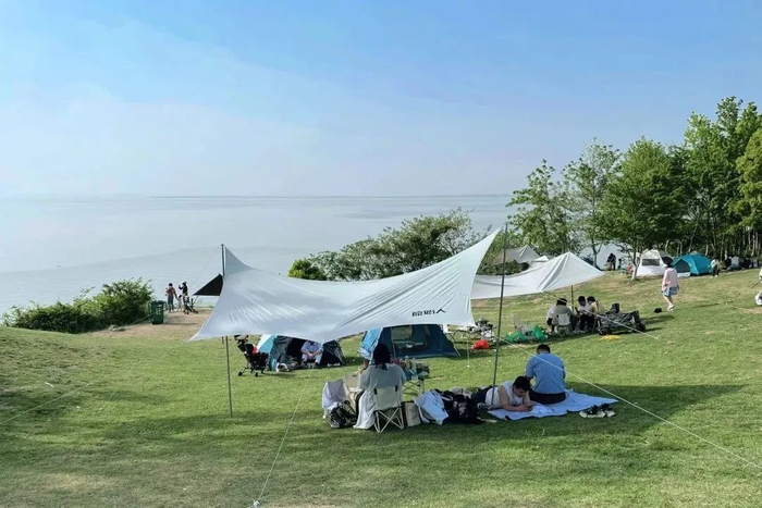 图源：太阳上的鱼呢