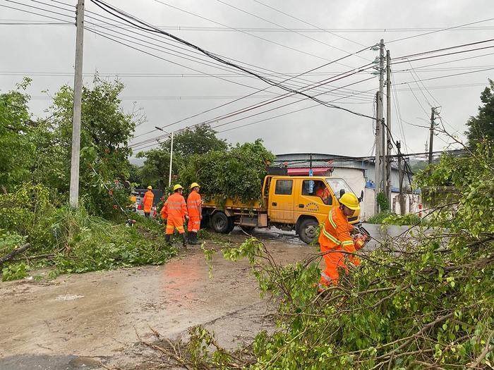 4月28日，金盆村的施工人员正在清理路上倒伏的树木，本文照片均为 澎湃新闻记者 陈灿杰 图