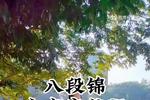 [流言板]奇才今日绝杀掘金，目前东部前三+第十五都完成双杀掘金