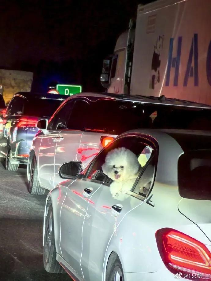 图片来源：社交媒体