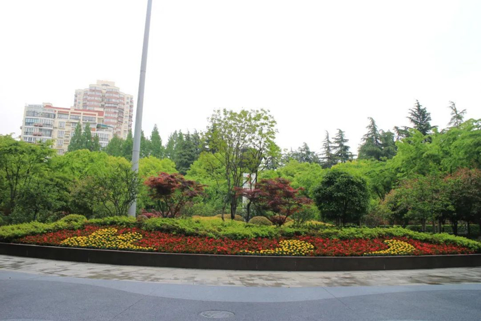 "五一"国际劳动节,普陀区各公园花坛盛装迎客!