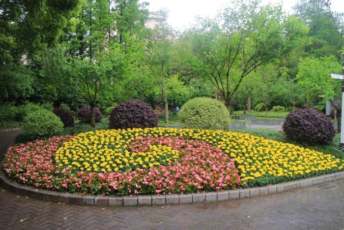 五一国际劳动节,普陀区各公园花坛盛装迎客!
