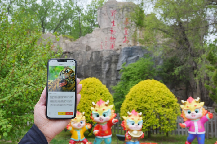 “乐游秦皇”微信小程序。秦皇岛秦旅智慧旅游有限公司供图