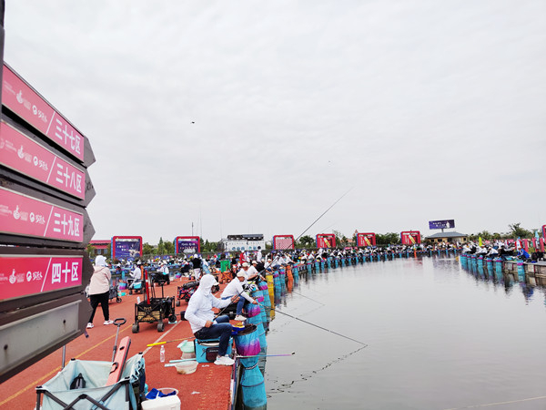 百万钓鱼大赛火热开赛 1126名钓友齐聚一"塘"