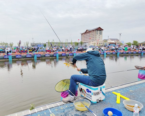 百万钓鱼大赛火热开赛 1126名钓友齐聚一"塘"