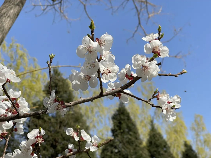 ▲图源：卡乐图片。摄影：贾琼