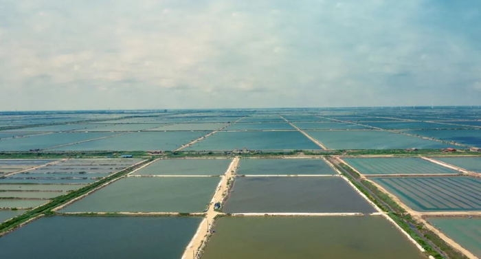 江苏盐城盐田丨版权图库图片，转载可能引发版权纠纷