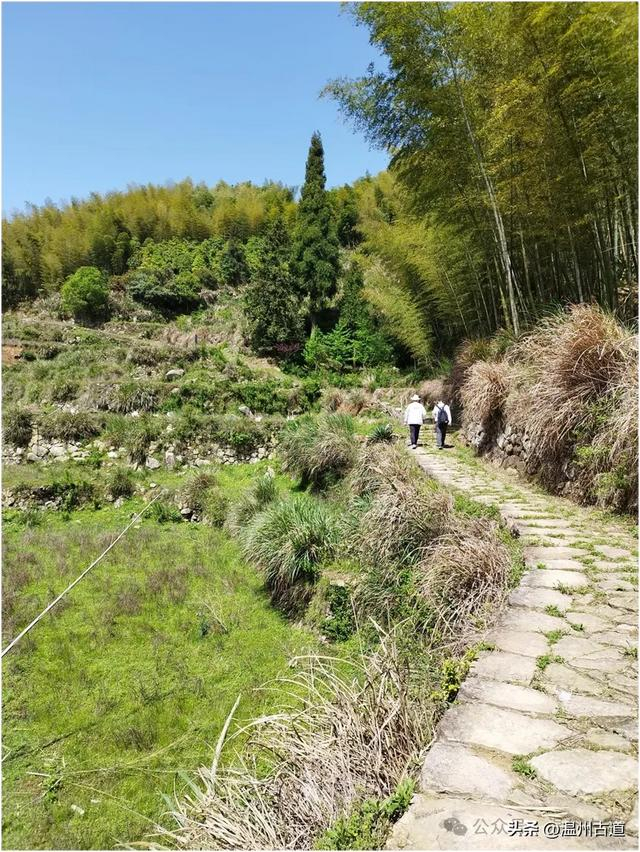 新路径,值得走起.