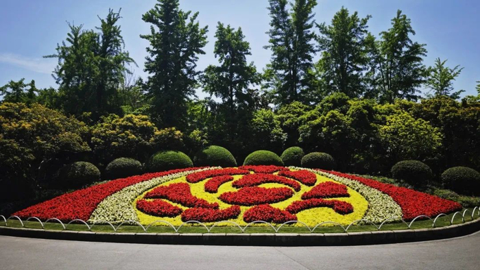 "五一"国际劳动节,普陀区各公园花坛盛装迎客!