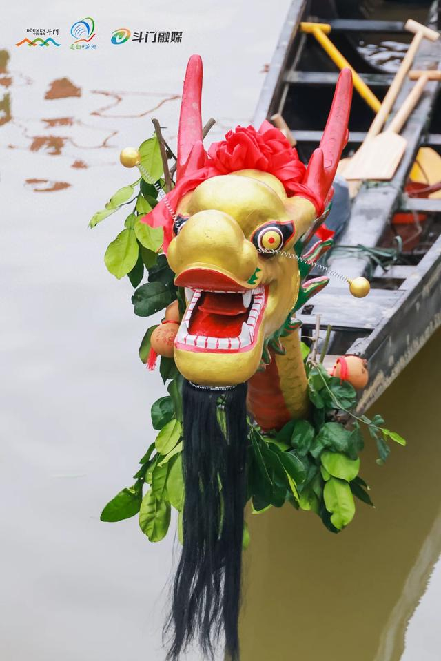 唤醒沉睡"20年"老木龙!珠海斗门重现龙舟起龙民俗