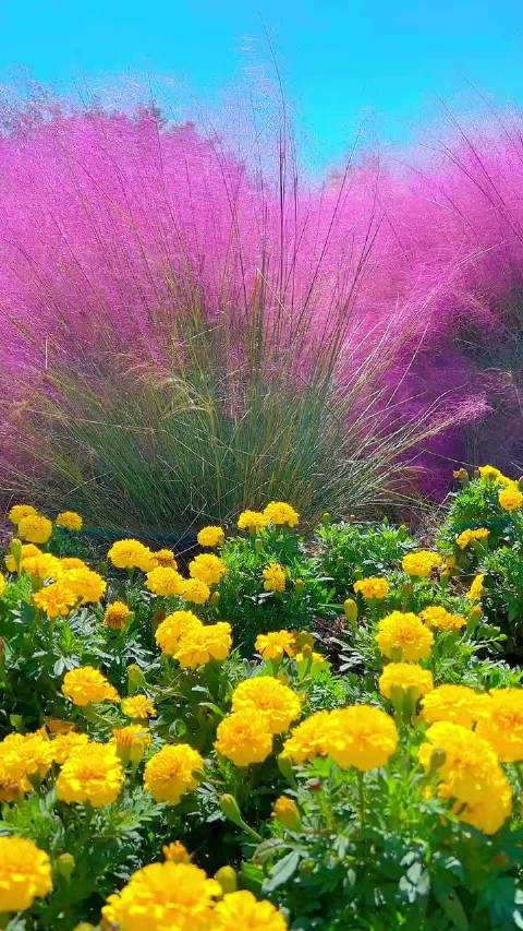 复制过的温柔文案!_手机新浪网