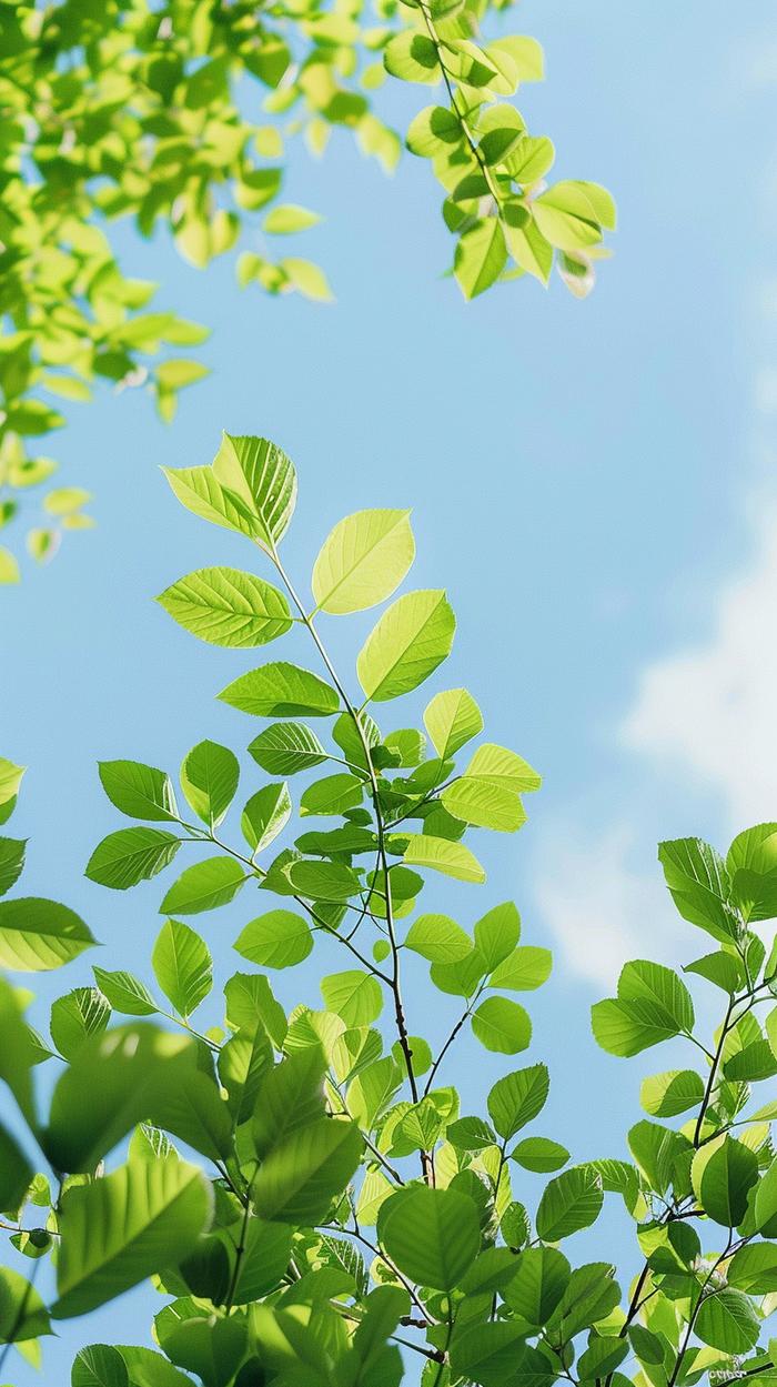 朗诵:67青年节—心若年轻向上,人生热辣滚烫