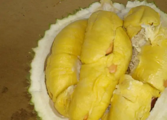 这两天,榴莲无疑成为了水果摊上的c位|榴莲|菠萝蜜