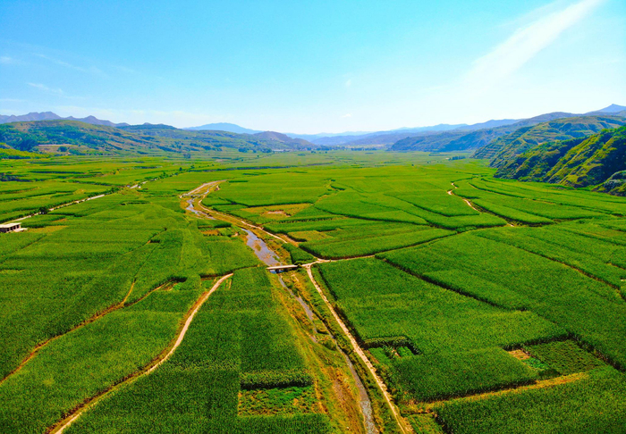 图为山西兴县杂粮生产基地。张亚东摄