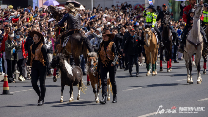 4月30日，在乌鲁木齐“丝路悦购·马上快乐”巡游活动上，群众纷纷驻足观看汗血宝马“炫”街。野马集团有限公司供图