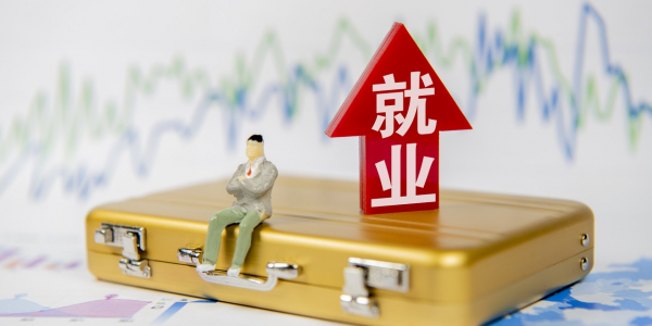 智联招聘报告:19.1%应届生选择慢就业,"逆向考研"可能降低求职成功率