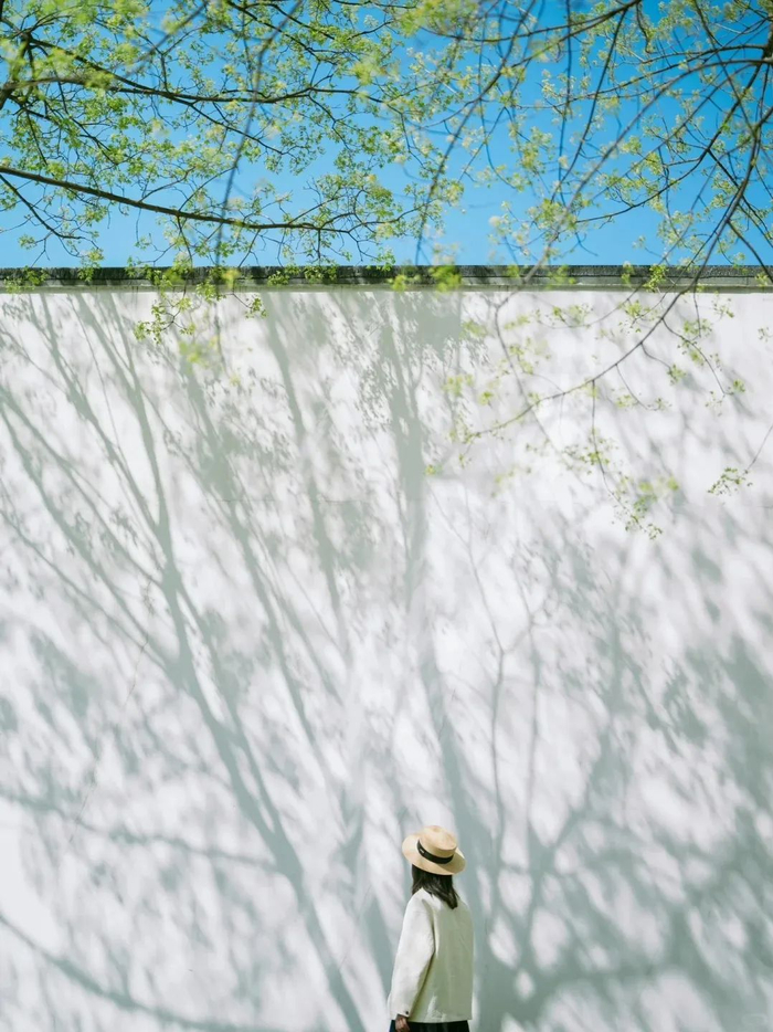 你好,5月8日 | 67想要活得舒心,内心就得自洽.