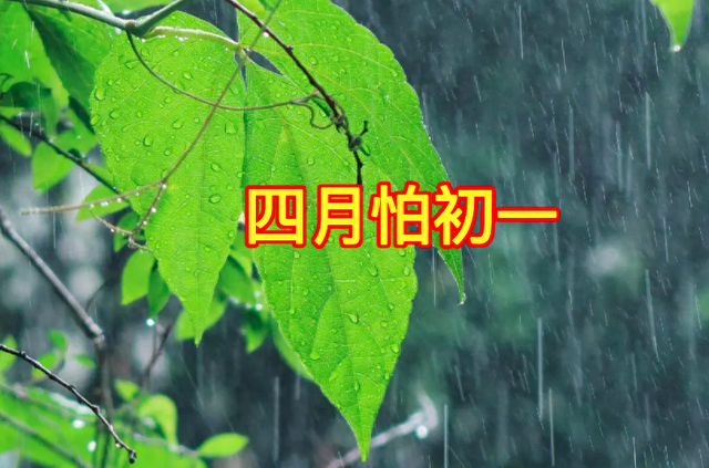 老话:"四月怕初一",明日四月初一,怕什么有啥预兆?大有说法