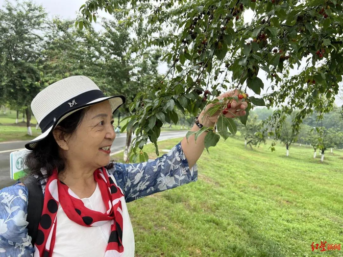 ▲市民周女士向记者介绍