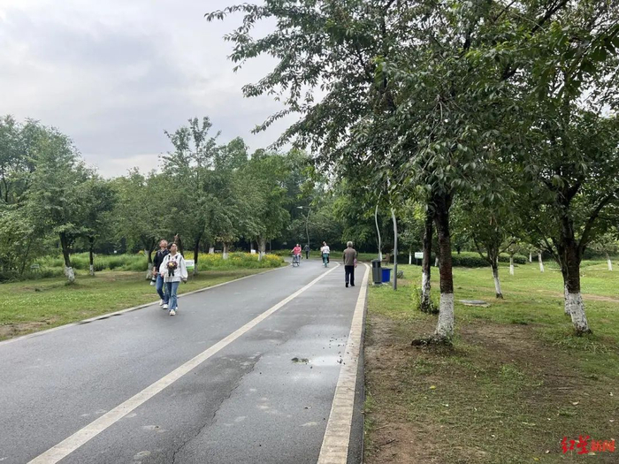 ▲青龙湖“野樱桃”