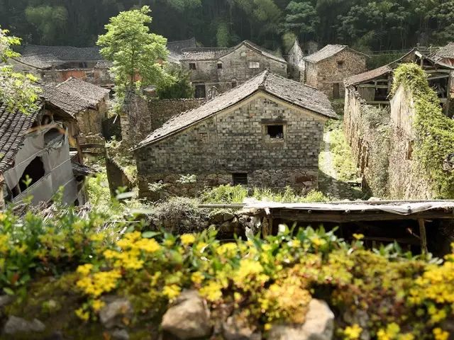 卖了杭州两套房,35岁的她带海归老公去山里开民宿,顺手救活了一个快