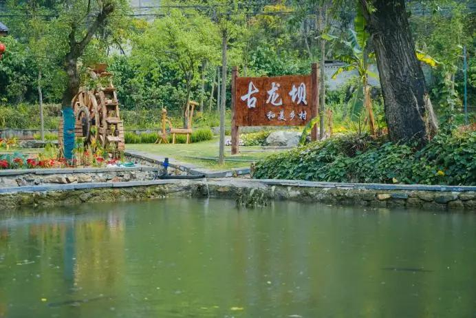 有一种向往去怒江丨峡谷水乡——泸水古龙坝