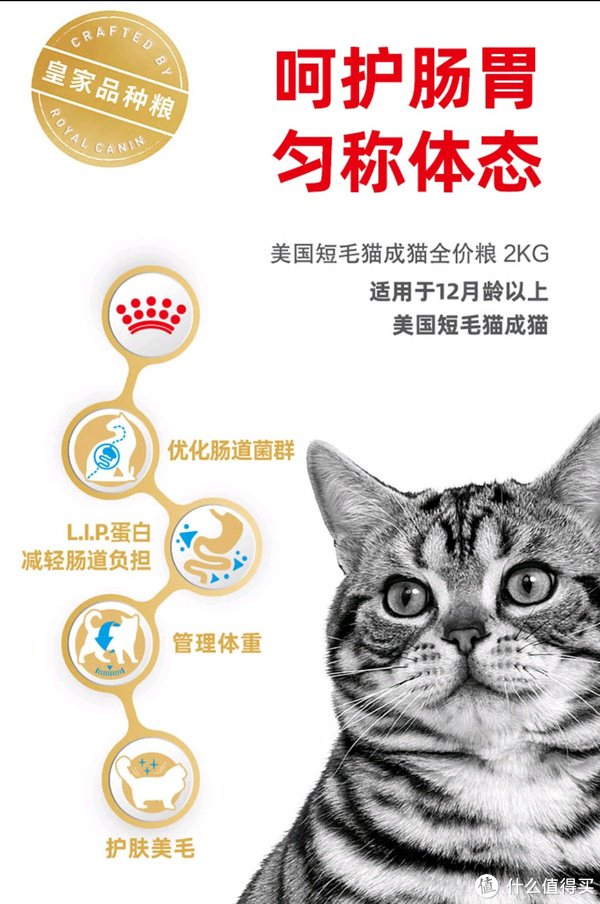 猫咪饮食全攻略:精选优质猫粮,守护喵星人的健康!|猫咪|蛋白质|饮食|猫粮|健康|来源|铲屎官|营养|需求|喵星人_新浪新闻