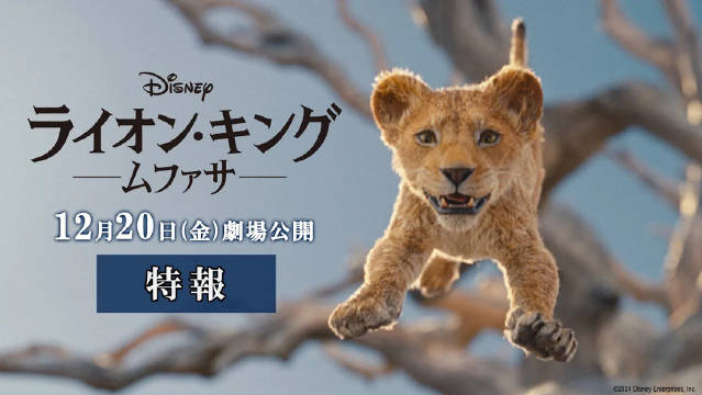 讲述辛巴父亲木法沙的电影《狮子王:木法沙》特报公开