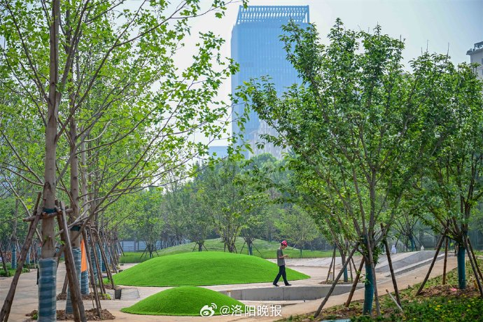 洛阳城市文化中心项目进入装修阶段