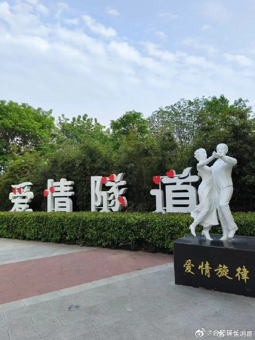 合肥东城非著名旅游景点:爱情隧道,非常适合打卡拍照!