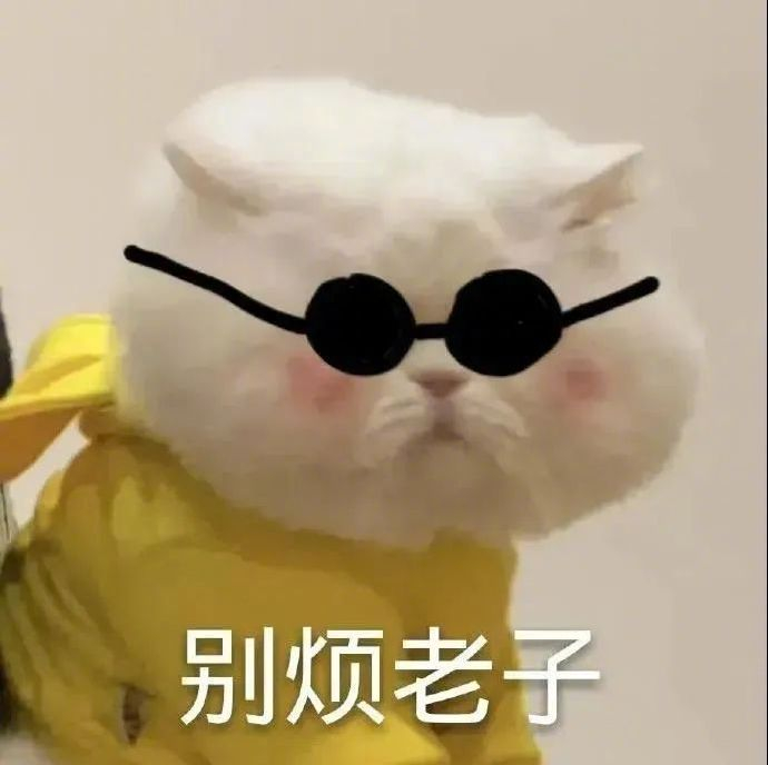 斗图精选表情包:别烦老子!
