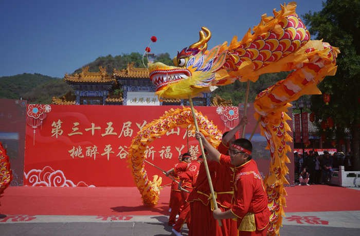 丫髻山庙会现场，小朋友表演舞龙。新京报记者 薛珺 摄