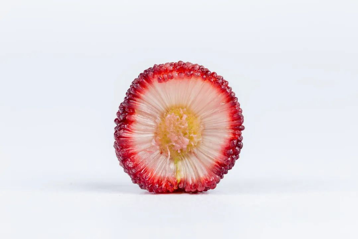 图库版权图片，转载使用可能引发版权纠纷