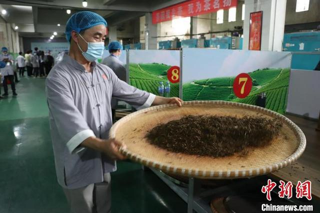 江西修水上演传统制茶技艺 宁红茶香飘万里