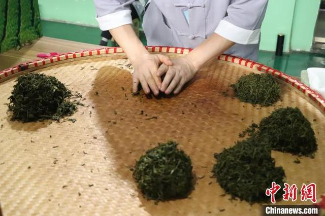 江西修水上演传统制茶技艺 宁红茶香飘万里