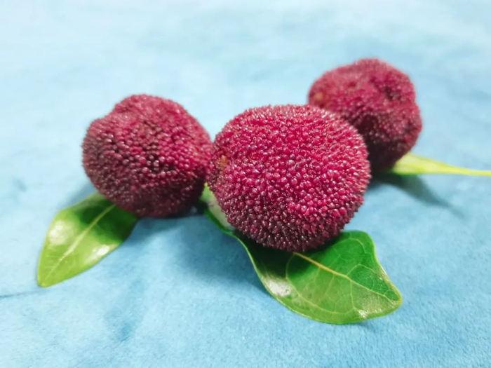 图片来源：作者拍摄