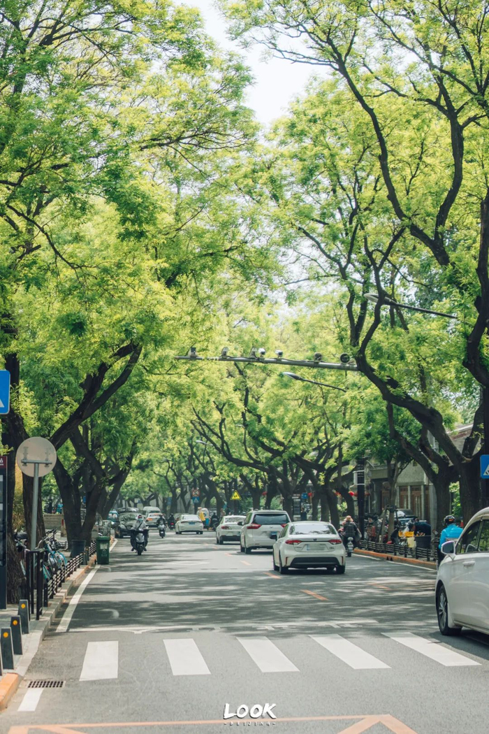 「 这是一条长长的漫游街道 」91  part 01"北京必打卡的街道,怎么