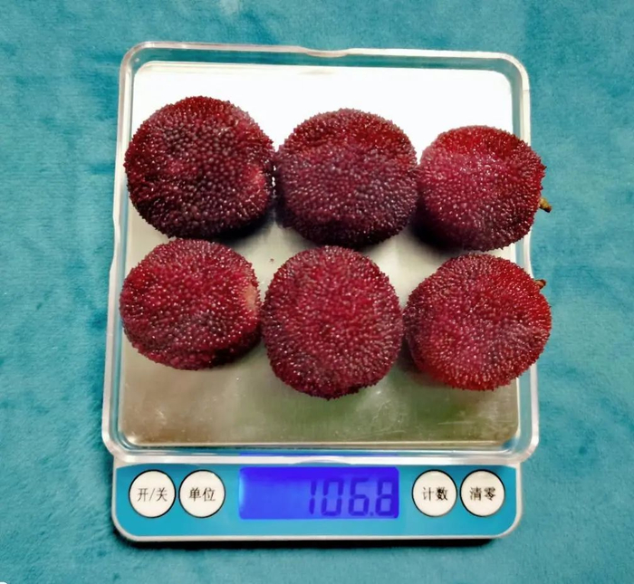 可食部约 100g 杨梅 图片来源：作者拍摄