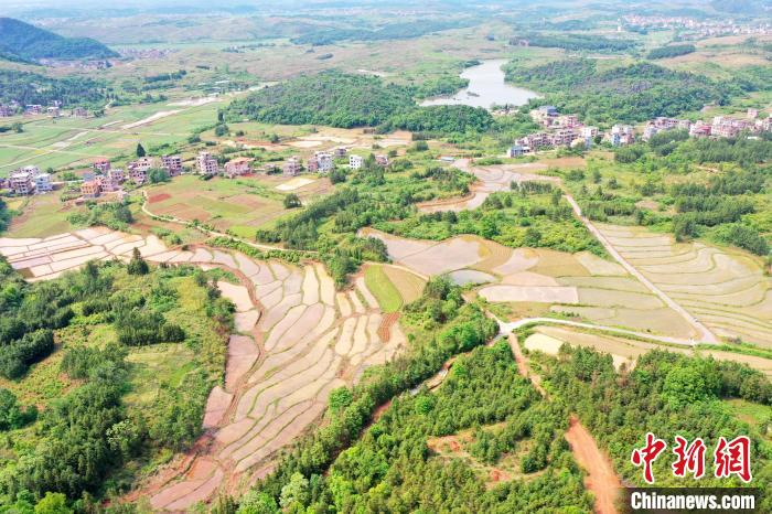 湖南新田让撂荒高岸田变"金土地"