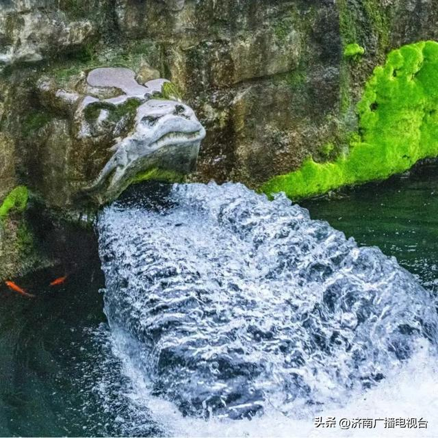 泉城之问,"泉水"作答|济南行记|济南市_新浪新闻