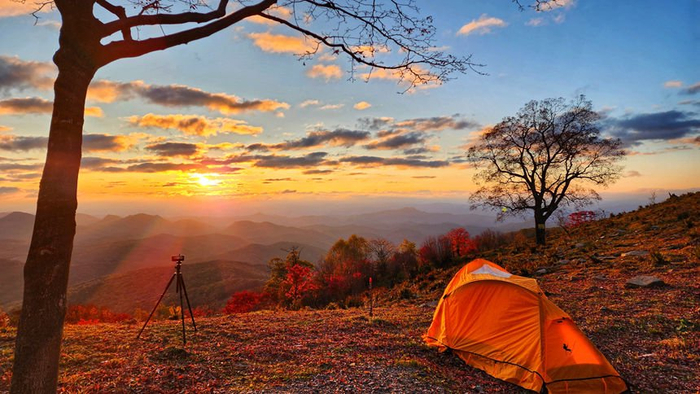 近日,通化四方山森林公园绿意盎然,风景美如画.