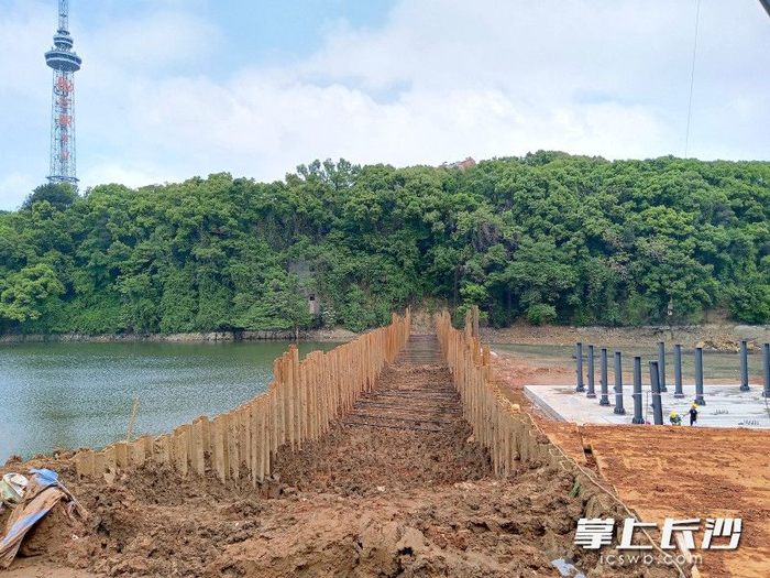 组图|跃进湖里施工忙