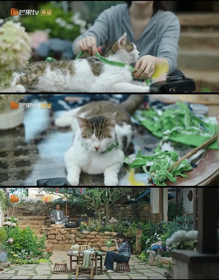 被她治好了精神内耗?