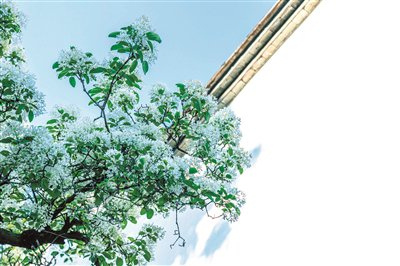 红肥绿瘦 万物并秀