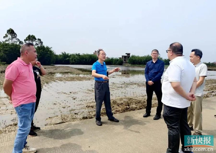 广东省水稻所专家组奔赴韶关清远指导救灾复产