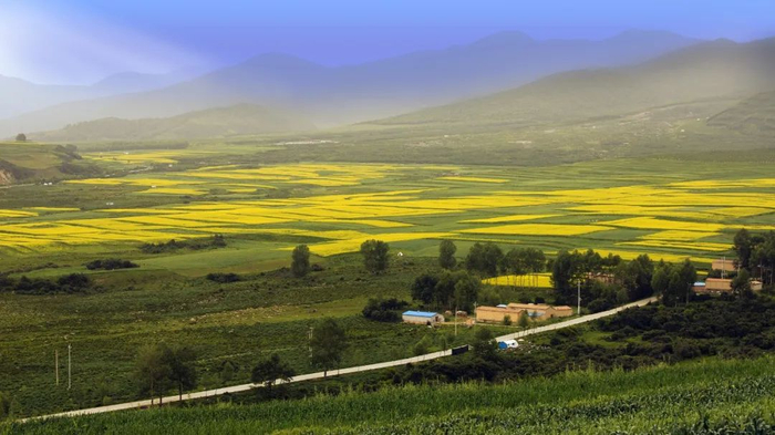 西宁,不是中转站|青海湖|西宁市|青海省_新浪新闻