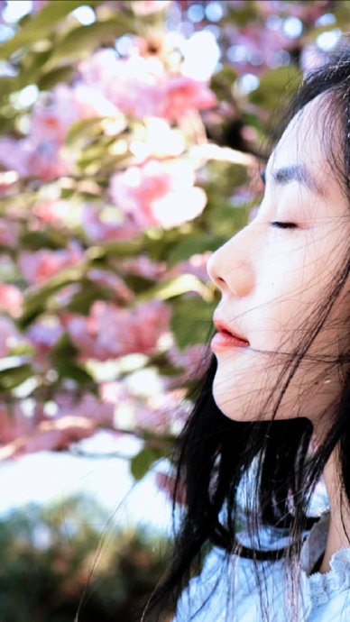 * 花儿与小存